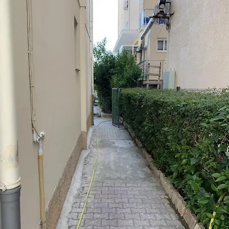 Beni Shengjin (Lezhe)