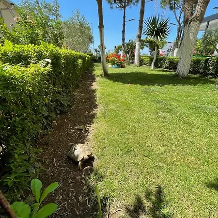 Отель Beni Шенджин