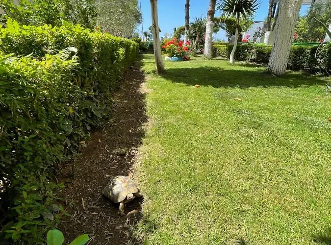 Hotel Beni Shëngjin