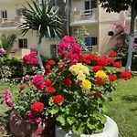 Beni فندق *